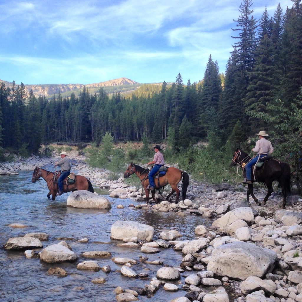 Our Horses | Mills Wilderness Adventures of Montana