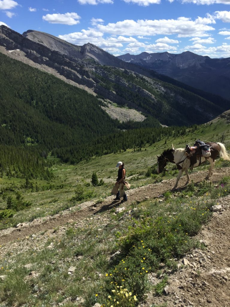 Great Wall Of Montana, The State's Very Own Wall Of China