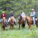 The horses you'll ride on our Montana pack trips are well trained, gentle, and trail wise.