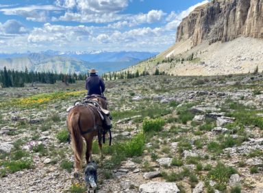 pack horse trips montana