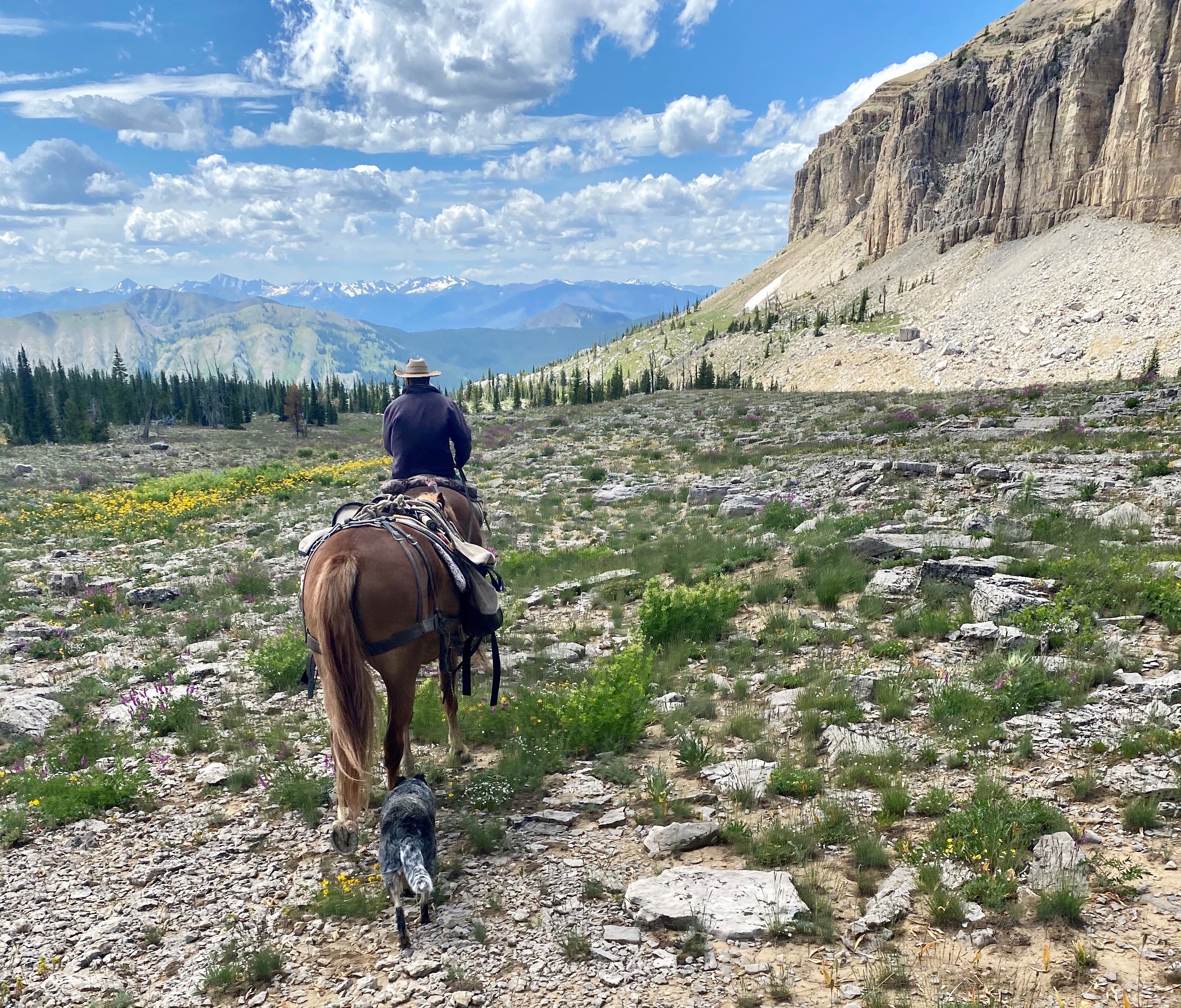 Great Wall Of Montana, The State's Very Own Wall Of China